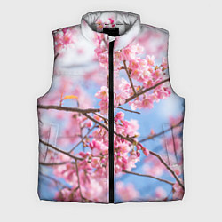 Мужской жилет Ветки Сакуры, цвет: 3D-светло-серый