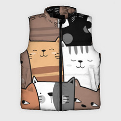 Мужской жилет Котейки, цвет: 3D-черный