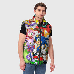 Мужской жилет Sonic ПЕРСОНАЖИ, цвет: 3D-светло-серый — фото 2