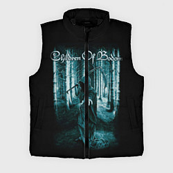 Мужской жилет Children of Bodom 14, цвет: 3D-черный