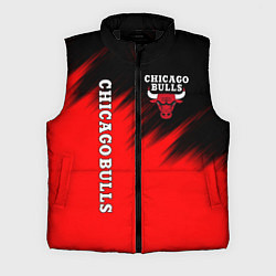Мужской жилет CHICAGO BULLS, цвет: 3D-черный