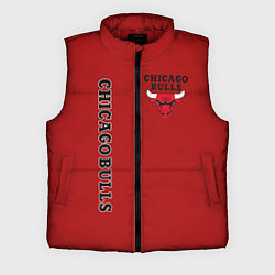 Мужской жилет CHICAGO BULLS, цвет: 3D-красный