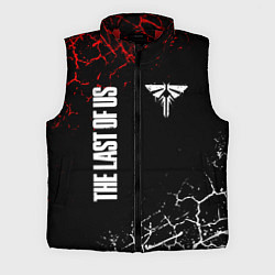 Мужской жилет THE LAST OF US 2, цвет: 3D-красный