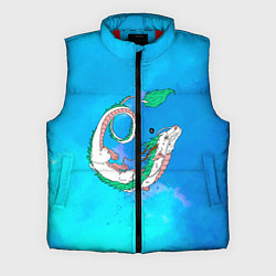 Мужской жилет Унесенные призраками Хаку, цвет: 3D-красный