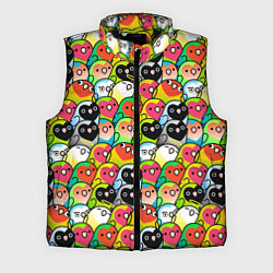 Мужской жилет Папуги