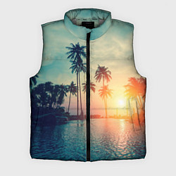 Мужской жилет Пальмы