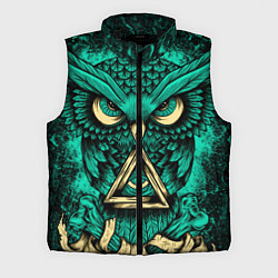 Мужской жилет Тотемная сова, цвет: 3D-черный