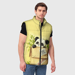 Мужской жилет Заказывали Панду? ?, цвет: 3D-черный — фото 2