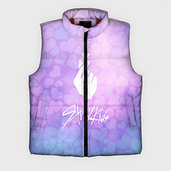 Мужской жилет Stray Kids