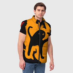 Мужской жилет Кот- мем, цвет: 3D-красный — фото 2