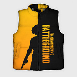 Мужской жилет PUBG Z, цвет: 3D-светло-серый