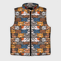 Мужской жилет Котейки, цвет: 3D-красный