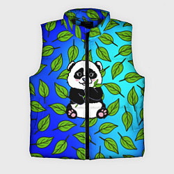 Мужской жилет Панда, цвет: 3D-черный