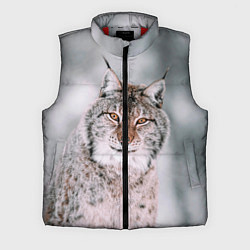 Мужской жилет Рысь