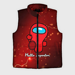 Мужской жилет Hello Impostor