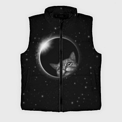 Мужской жилет Кот в Космосе, цвет: 3D-черный