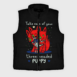 Мужской жилет Hades Загрей и милый цербер