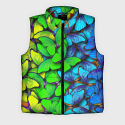 Мужской жилет Радужные бабочки