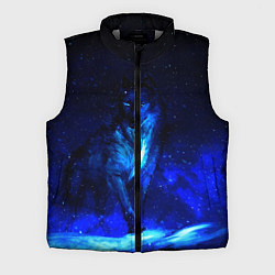 Мужской жилет Dark Wolf, цвет: 3D-светло-серый