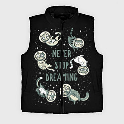 Мужской жилет Коты в Космосе Мечтай, цвет: 3D-черный