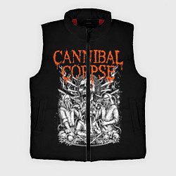 Мужской жилет Cannibal Corpse, цвет: 3D-красный