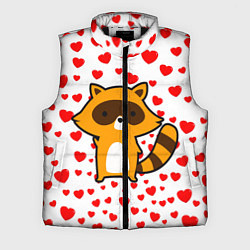 Мужской жилет Енот в сердечках, цвет: 3D-черный