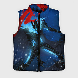 Мужской жилет Поднятие уровня Аниме, цвет: 3D-черный