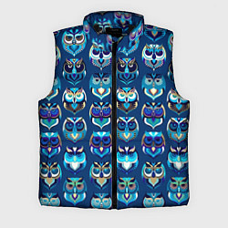 Мужской жилет Совы, цвет: 3D-черный