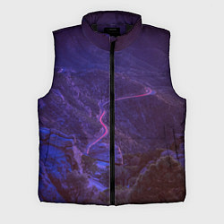 Мужской жилет НЕОНОВАЯ ДОРОГА, цвет: 3D-черный