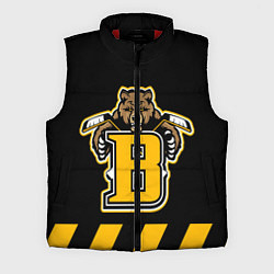 Мужской жилет BOSTON BRUINS, цвет: 3D-красный