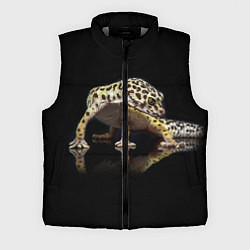 Мужской жилет ЭУБЛЕФАР EUBLEPHARIS