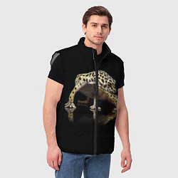 Мужской жилет ЭУБЛЕФАР EUBLEPHARIS, цвет: 3D-светло-серый — фото 2