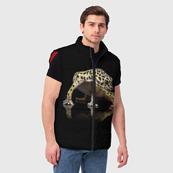 Мужской жилет ЭУБЛЕФАР EUBLEPHARIS, цвет: 3D-красный — фото 2