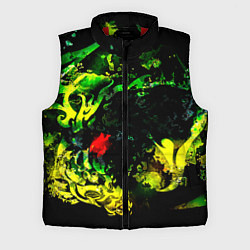 Мужской жилет ACID DRAGON