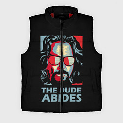 Мужской жилет The Dude Abides Лебовски, цвет: 3D-красный