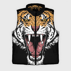 Мужской жилет Оскал амурского тигра, цвет: 3D-черный