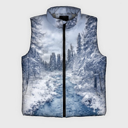 Мужской жилет СНЕЖНЫЙ ПЕЙЗАЖ, цвет: 3D-светло-серый