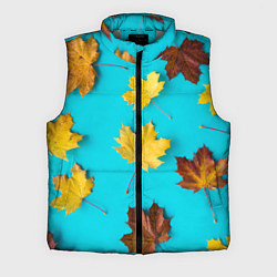 Мужской жилет Кленовый листочек, цвет: 3D-светло-серый