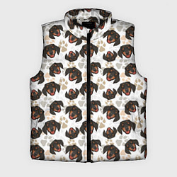 Мужской жилет Такса Dachshund Dog