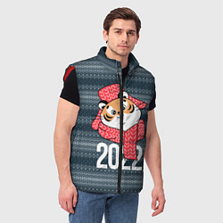 Мужской жилет 2022 символ года, цвет: 3D-красный — фото 2