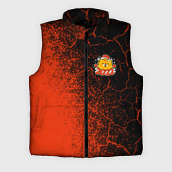 Мужской жилет HAPPY NEW YEAR TIGER - CUTE 2022 - Spray