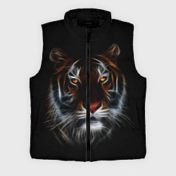 Мужской жилет Тигр в Темноте Глаза Зверя