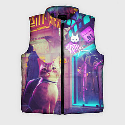 Мужской жилет Stray