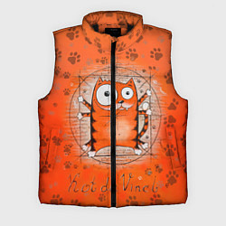 Мужской жилет Kot da Vinci, цвет: 3D-черный