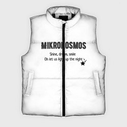 Мужской жилет Mikrokosmos