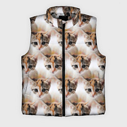 Мужской жилет Маленький котенок паттерн