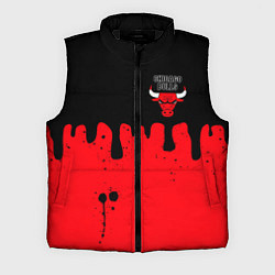 Мужской жилет Chicago Bulls Чикаго Буллз Логотип
