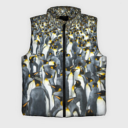 Мужской жилет Пингвины Penguins