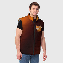 Мужской жилет ЛИСИЧКА Абстракция, цвет: 3D-светло-серый — фото 2