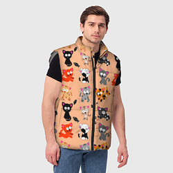 Мужской жилет NAUGHTY KITTENS, цвет: 3D-светло-серый — фото 2
